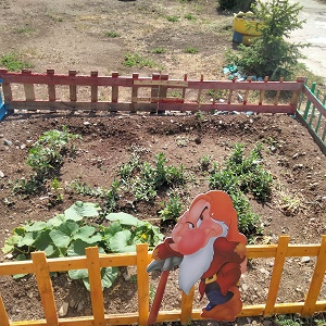 IMG20230621100831