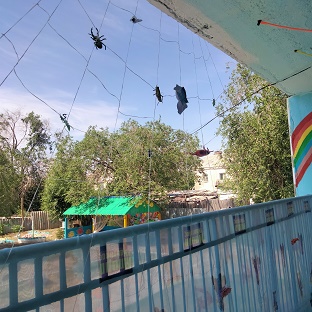 IMG20230621102430