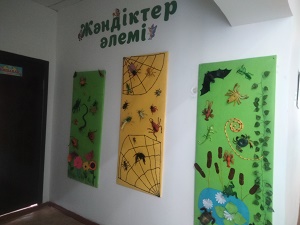 IMG20240228092122